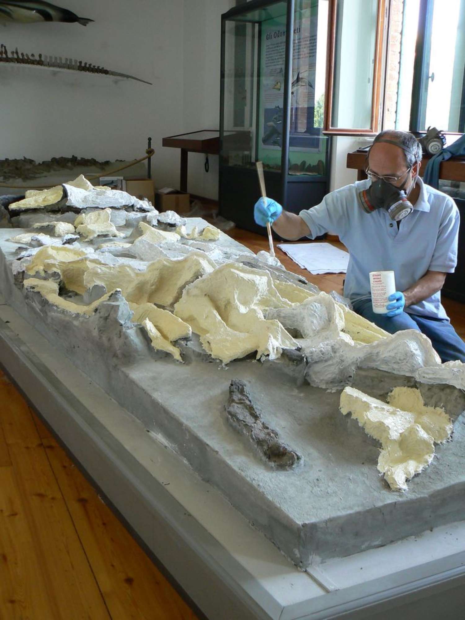 Festa scuola Ale 023